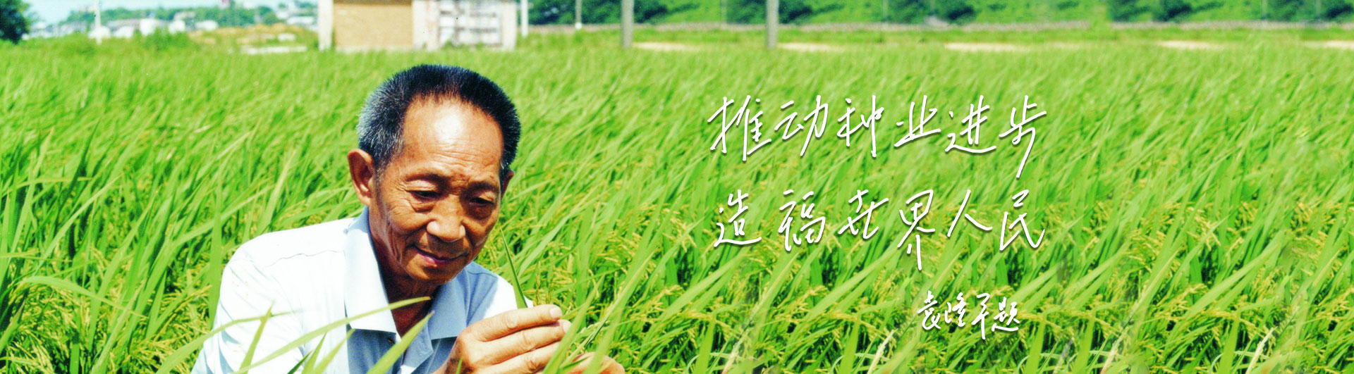 z6尊龙·中国官方网站高科