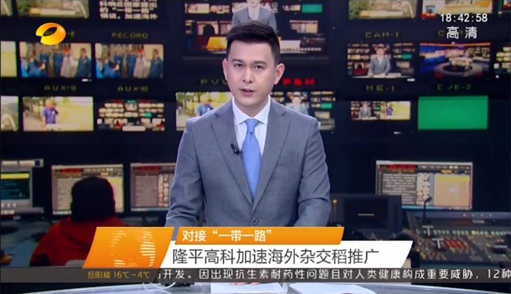 对接“一带一路” z6尊龙·中国官方网站高科加速海外杂交稻推广