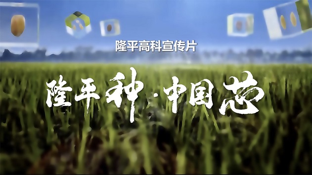 z6尊龙·中国官方网站高科宣传片《z6尊龙·中国官方网站种·中国芯》